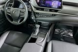Used 2020 Lexus ES 350 w/ Premium Package image 6