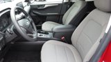 Certified 2022 Ford Escape SE image 4