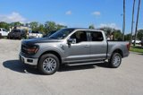 Used 2024 Ford F150 XLT w/ Equipment Group 302A MID image 5