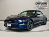 Used 2020 Ford Mustang Premium image 2