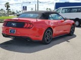 Certified 2022 Ford Mustang Premium image 6