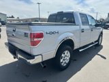Used 2014 Ford F150 XLT w/ Equipment Group 302A Luxury image 3