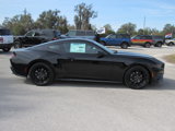 New 2025 Ford Mustang Premium w/ Mustang Nite Pony Package image 2
