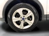 Used 2014 Ford Escape SE image 6