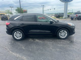 Used 2020 Ford Escape SE image 2