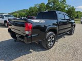 Used 2019 Toyota Tacoma TRD Sport image 5