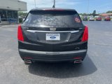 Used 2019 Cadillac XT5 Premium Luxury image 5