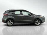 Used 2014 Ford Escape Titanium w/ Equipment Group 401A image 6