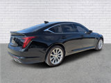 Used 2023 Cadillac CT5 Luxury w/ Sun And Sound Package image 4