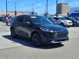 Used 2022 Ford Escape SE w/ Convenience Package image 3
