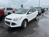 Used 2016 Ford Escape SE w/ Equipment Group 201A image 4