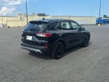 Certified 2022 Ford Escape S image 5