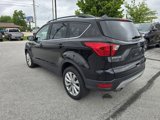 Used 2019 Ford Escape SEL image 5