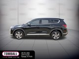 Used 2022 Hyundai Santa Fe SEL w/ Convenience + Premium Package image 4