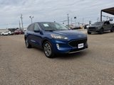 Used 2022 Ford Escape SEL image 5