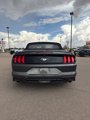 Used 2019 Ford Mustang Convertible w/ Equipment Group 101A image 6