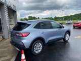 Used 2022 Ford Escape SE w/ Cold Weather Package image 3