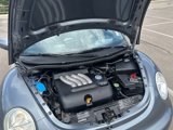 Used 2003 Volkswagen Beetle GL image 2