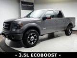 Used 2014 Ford F150 FX4 image 3