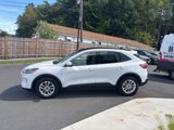 Used 2020 Ford Escape SE image 4