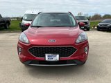 Used 2022 Ford Escape SEL w/ Technology Package image 2