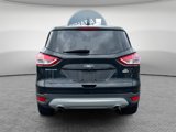 Used 2014 Ford Escape SE image 4
