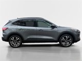 Certified 2022 Ford Escape SE w/ SE Sport Appearance Package image 2