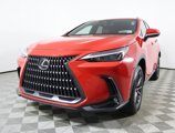 Used 2024 Lexus NX 250 FWD image 2