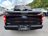 Used 2019 Ford F150 XLT w/ Equipment Group 302A Luxury image 3