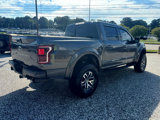 Used 2017 Ford F150 Raptor w/ Equipment Group 802A Luxury image 5