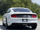 Used 2020 Ford Mustang Premium image 4