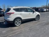 Used 2013 Ford Escape Titanium w/ Parking Technology Pkg image 5