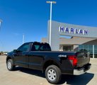 New 2025 Ford F150 XL w/ Equipment Group 103A High image 3