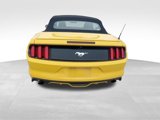Used 2016 Ford Mustang Premium image 6