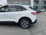 Certified 2022 Ford Escape SEL w/ Technology Package image 4