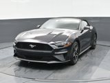 Used 2023 Ford Mustang Premium image 5