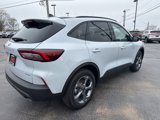 New 2025 Ford Escape ST-Line w/ Tech Pack #1 image 4