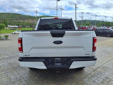Used 2019 Ford F150 XL w/ Equipment Group 101A Mid image 6