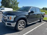 Used 2019 Ford F150 XLT w/ Equipment Group 302A Luxury image 2
