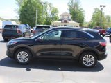 Used 2022 Ford Escape SE w/ Convenience Package image 4