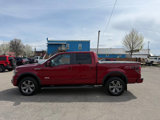 Used 2014 Ford F150 FX4 image 2