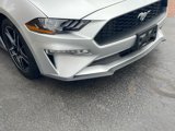 Used 2019 Ford Mustang Premium image 4