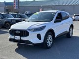 Used 2024 Ford Escape Active image 5