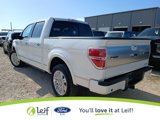 Used 2013 Ford F150 Platinum image 5