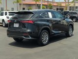 Used 2019 Lexus NX 300h AWD w/ Comfort Package image 6