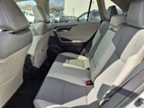 Certified 2023 Toyota RAV4 Limited image 6