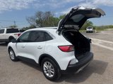 Used 2022 Ford Escape SE w/ Convenience Package image 4