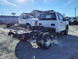 New 2024 Ford F350 XL image 2