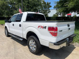 Used 2014 Ford F150 XLT image 6
