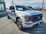 Certified 2023 Ford F150 Lariat image 3